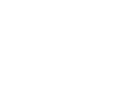 GINESAFE