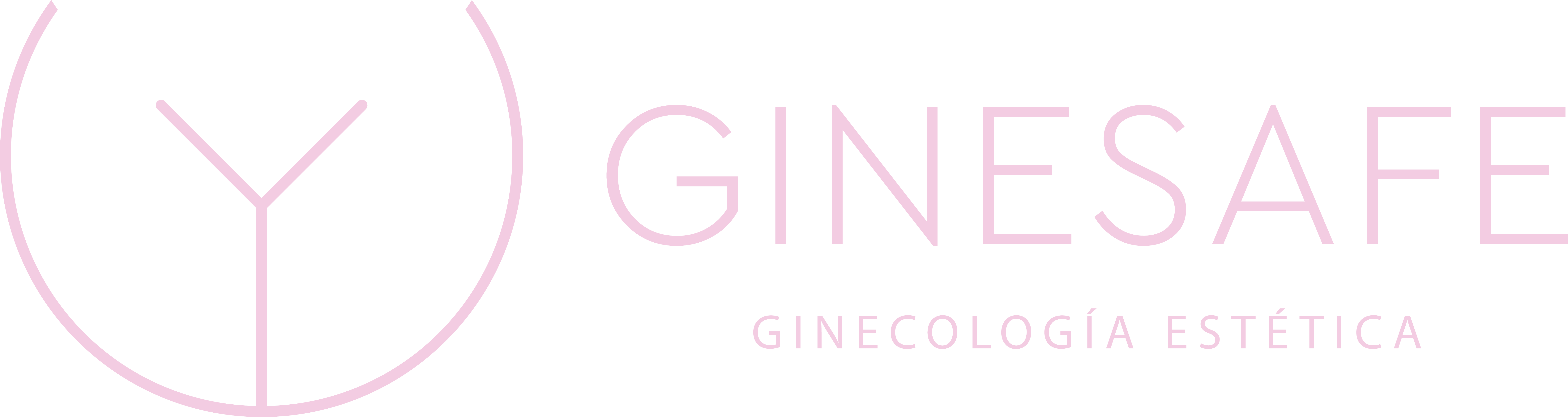 GINESAFE